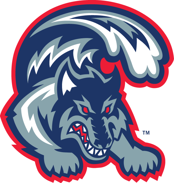 Stony Brook Seawolves 1998-2007 Alternate Logo diy DTF decal sticker